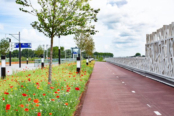 RandstadRail Lansingerland-Zoetermeer een uniek station met groen verblijfsdak